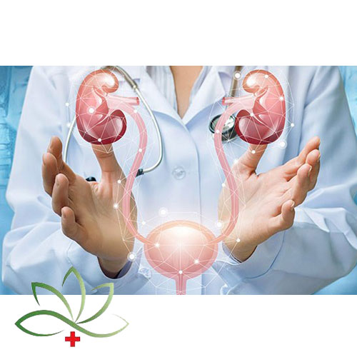 بیماری‌های کلیه و مجاری ادراری